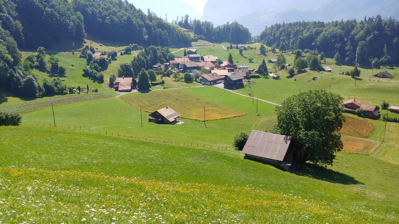 Chalet Bruenig Meiringen Luaran gambar