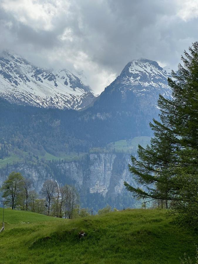 Chalet Bruenig Meiringen Luaran gambar