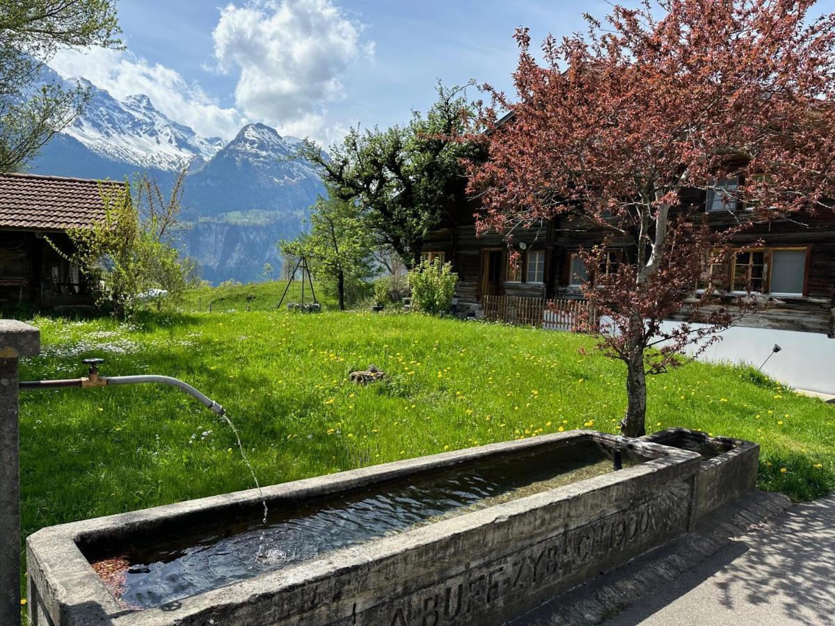 Chalet Bruenig Meiringen Luaran gambar