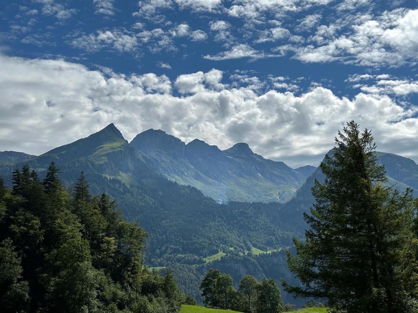 Chalet Bruenig Meiringen Luaran gambar