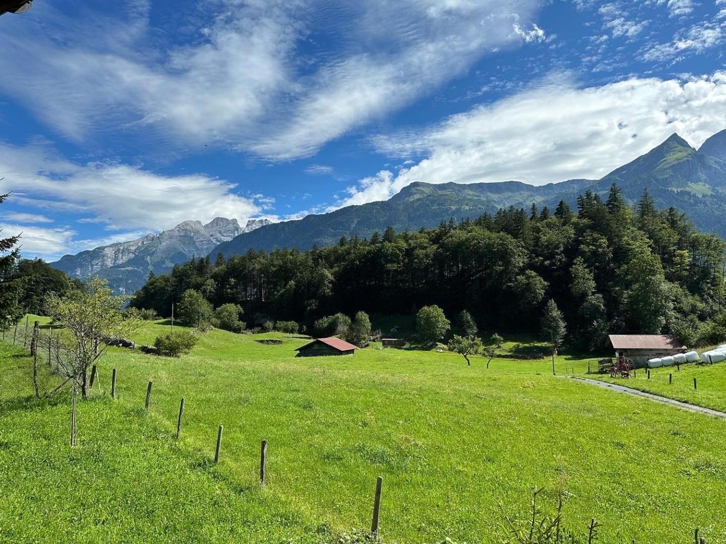 Chalet Bruenig Meiringen Luaran gambar
